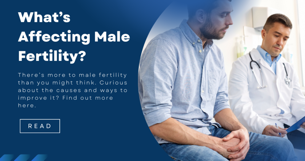 Understanding Male Fertility