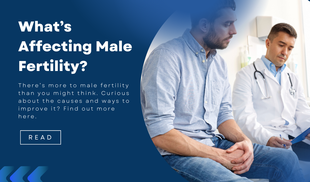 Understanding Male Fertility